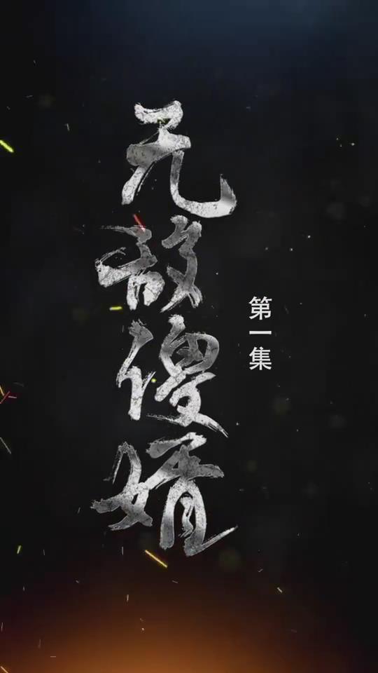 无敌傻婿海报剧照