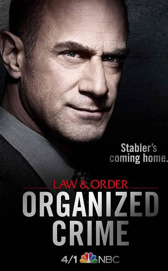 法律与秩序：组织犯罪 第一季